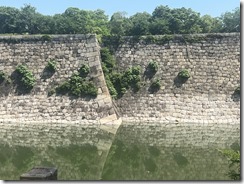 IMG_9922~photo - Copy