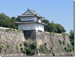 IMG_9924~photo - Copy