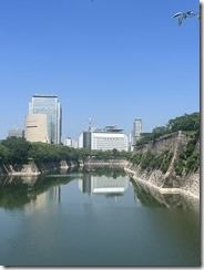 IMG_9925~photo - Copy