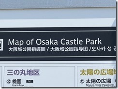 IMG_9927~photo - Copy